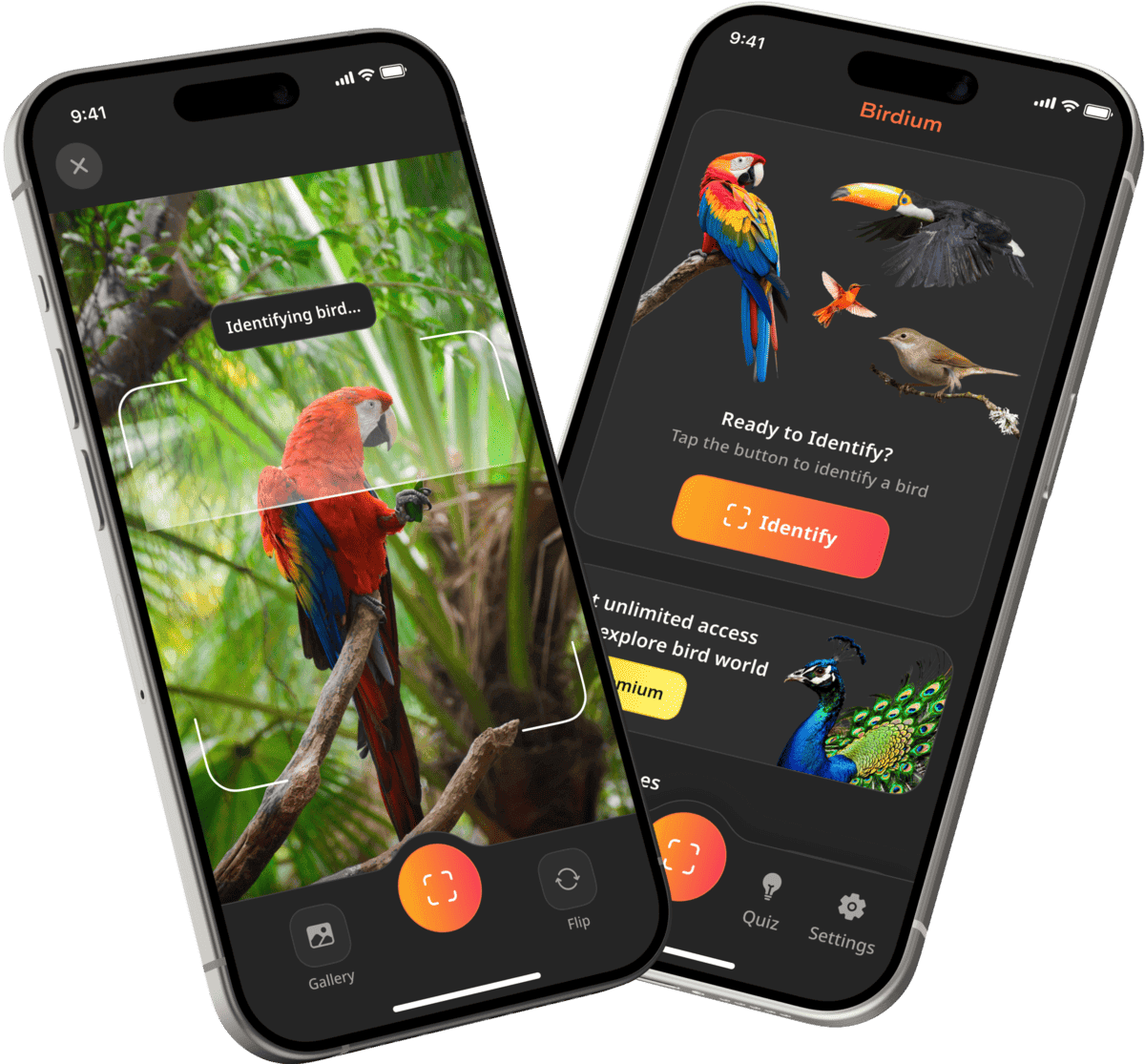 Preview of the bird identifier mobile app