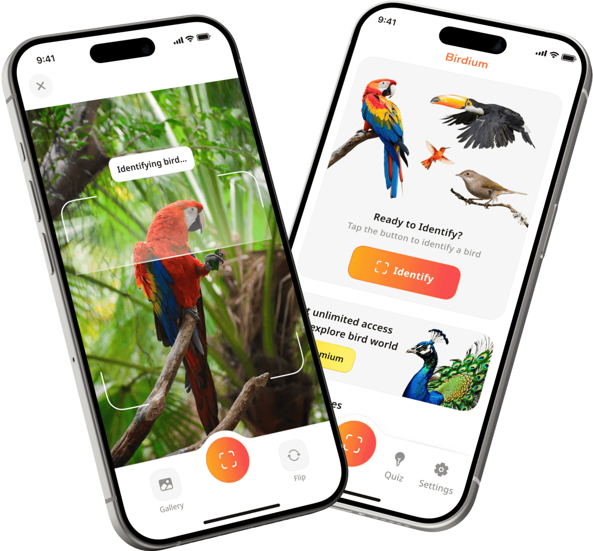 Preview of the bird identifier mobile app